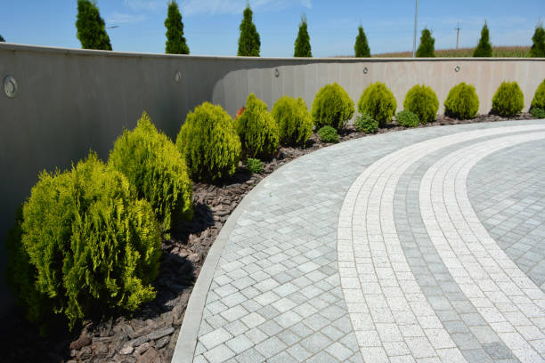 Best Driveway Paving Contractor  in San Fernando, CA